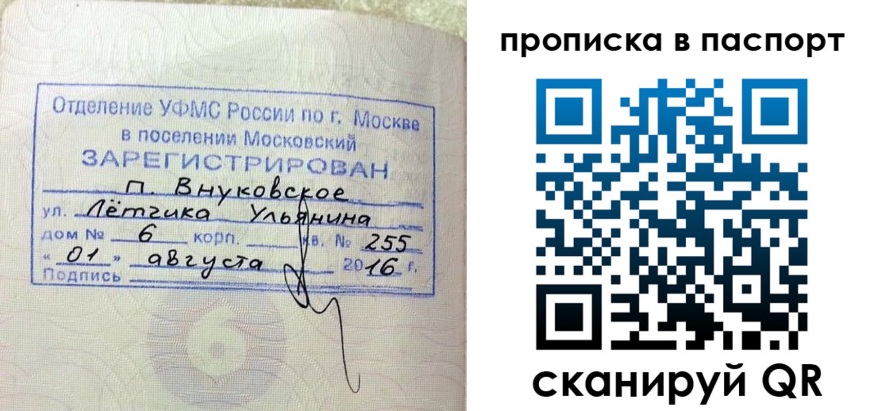 временная прописка в Балтийске